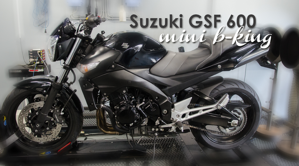 Suzuki GSF-600 mini B-King